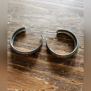 Elegant Silver Hoop Earrings